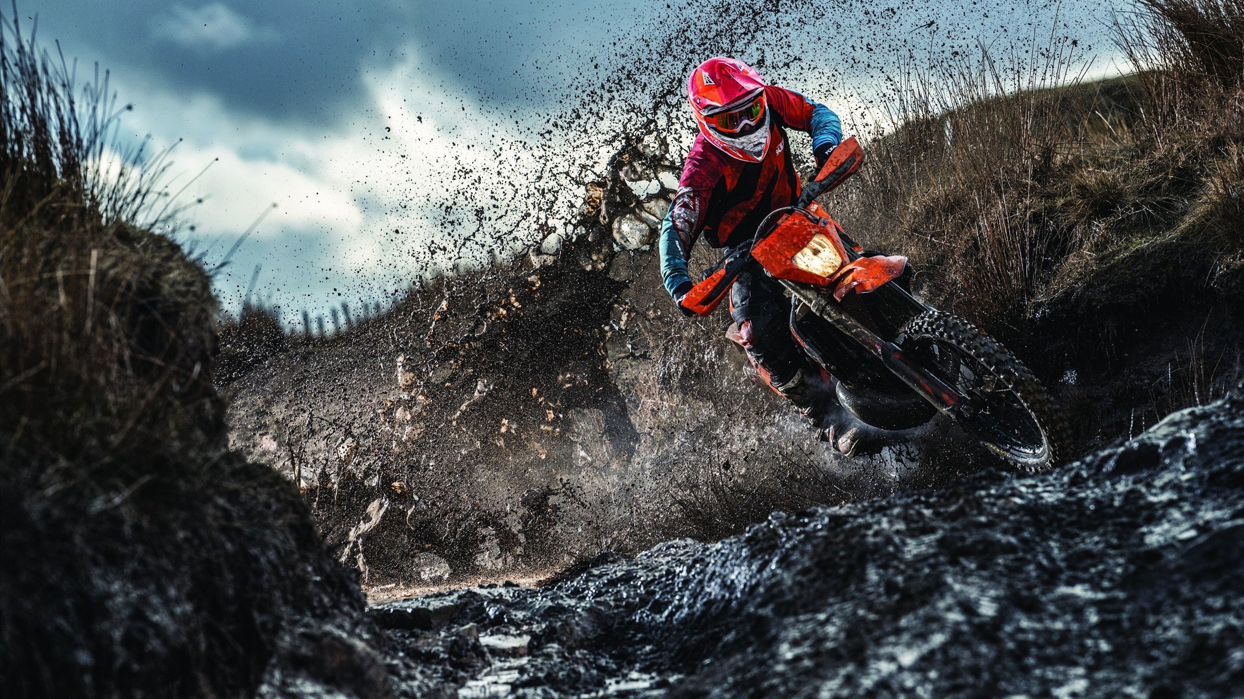 全红婵夺金点燃全运会激情，还有哪些奥运冠军将亮相？，奥运冠军全红婵夺冠瞬间