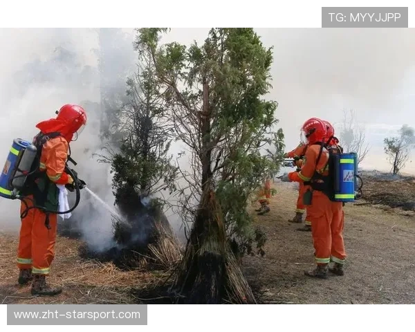 职业联赛的公平竞技维护保障体系建设完善建议总结评价（308 ）